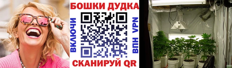 Каннабис планчик  Зеленокумск 